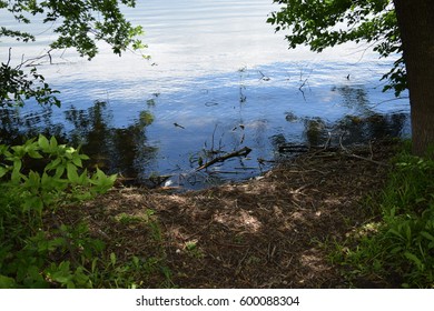 Minnesota Blue Lake Landscape