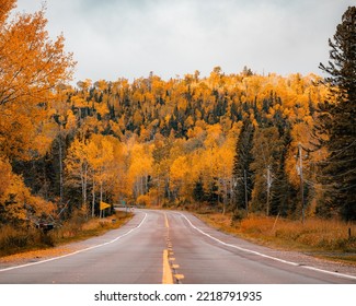 Minnesota Fall Foliage Road Trip