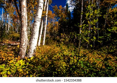 Minnesota North Shore Drive In Autumn.