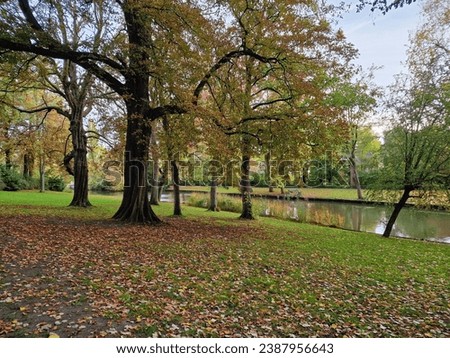 Minnewater, Bruges, Belgium. October 21 2022

Relaxing