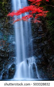 Mino Falls In Autumn Foliage