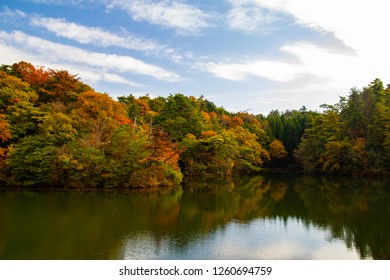 Mino Falls (minoo Gawa Dam).autumn Foliage Japan