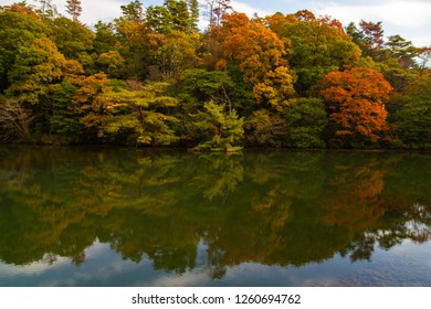 Mino Falls Osaka (minoo Gawa Dam) .Colorful Autumn Foliage Japan