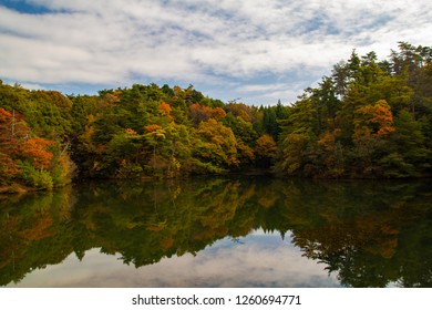 Mino Falls Osaka (minoo Gawa Dam) .Colorful Autumn Foliage Japan