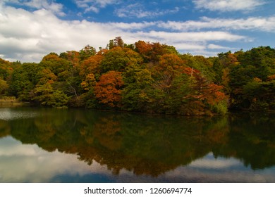 Mino Falls Osaka (minoo Gawa Dam) .Colorful Autumn Foliage Japan