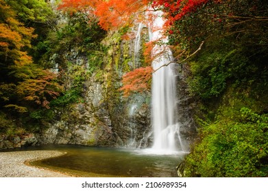 Minoo Waterfall With Red Maple Trees