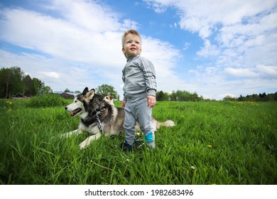 MINSK. BELARUS: 21.05.2021 - Child And Husky In Green Grass On The Background Of Blue Sky With Clouds. 