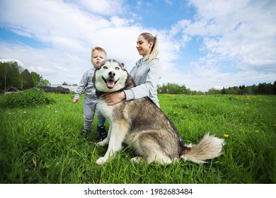 MINSK. BELARUS: 21.05.2021 - Child With Mom And Husky In Green Grass On The Background Of Blue Sky With Clouds. 