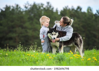 MINSK. BELARUS: 21.05.2021 - Child With Mom And Husky In Green Grass On The Background Of Blue Sky With Clouds. 