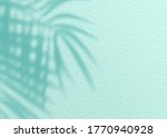 Mint Blue cement texture wall leaf plant shadow background.Summer tropical travel beach with minimal concept. Flat lay pastel color palm nature.