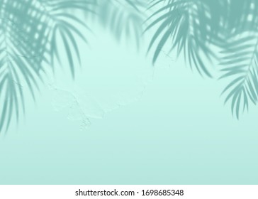 ミント青のセメントテクスチャーの壁の葉の影の背景。夏の熱帯のトラベルビーチで、最小限のコンセプト。平らなレイパステルカラーパームネイチャー。の写真素材