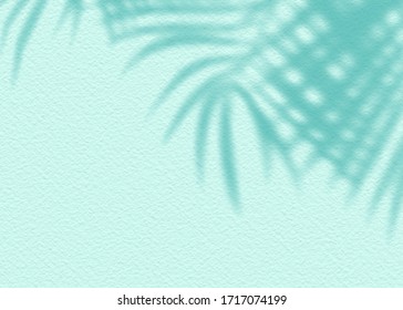 Mint Blue cement texture wall leaf plant shadow background.Summer tropical travel beach with minimal concept. Flat lay pastel color palm nature.: stockfoto