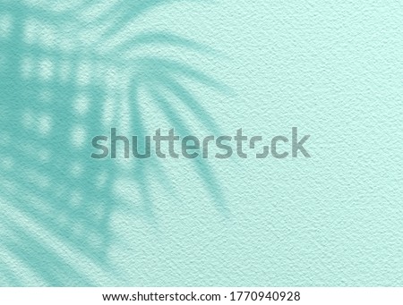 Mint Blue cement texture wall leaf plant shadow background.Summer tropical travel beach with minimal concept. Flat lay pastel color palm nature.