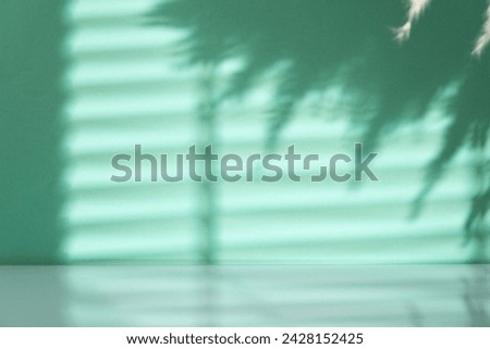 Mint blue wall with shadows for background