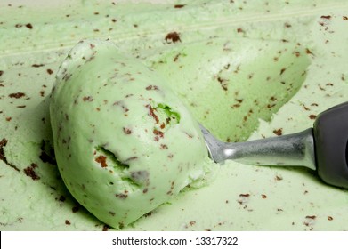 Mint Chocolate Chip Ice Cream