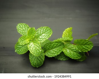 Mint Green Leaves On A Black Wooden Floor