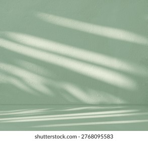 Mint green minimal studio background,Soft light shadow on textured wall,Pastel mint surface and floor, natural sunlight pattern,Clean modern interior with copy space for product display and branding