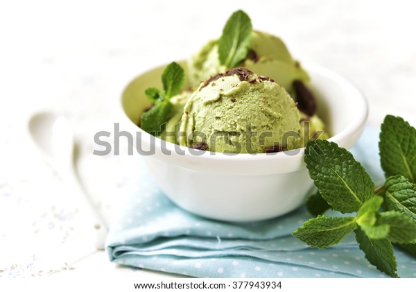 Mint ice cream with chocolate chips in a bowl
on a light background.