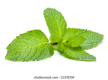 Mint Leaf Fresh Mint On White Stock Photo (Edit Now) 1899323422