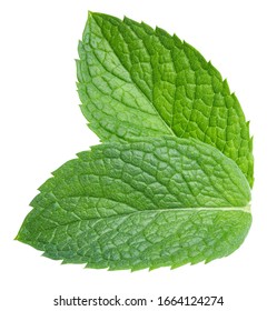 Mint isolated on white background. Mint clipping path. Mint macro studio photo - Shutterstock ID 1664124274
