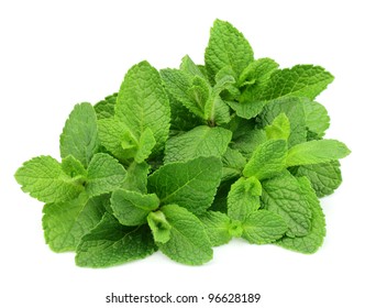 Mint Leaf Close Up On A White Background