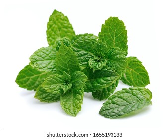 Mint leaf closeup on a white background - Shutterstock ID 1655193133