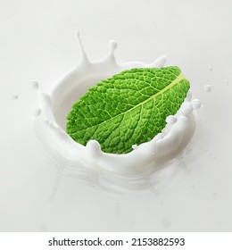 Mint Leaf Falls Into Milk, Yoghurt, Sour Cream, Splash