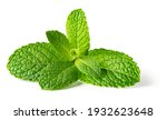 Mint leaf isolated. Fresh mint on white background. Mint leaf. Full depth of field. Perfect not AI mint leaf, true photo.