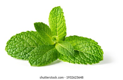Mint leaf isolated. Fresh mint on white background. Mint leaf. Full depth of field. - Shutterstock ID 1932623648