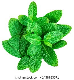Mint leaf isolated on white background. Heap of Spearmint leaves, peppermint, close up