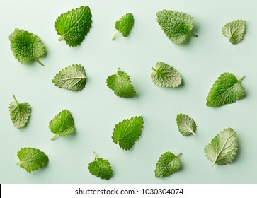 Mint Leaf Pattern On Pastel Background. Variation Of Peppermint Leaves Viewed From Above. Top View