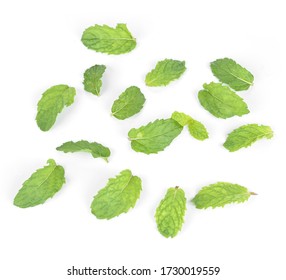 Mint Leafs Isolated On A White Background