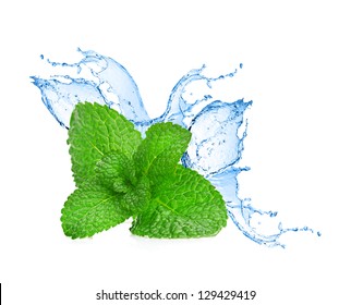 Mint Leafs Water Splash