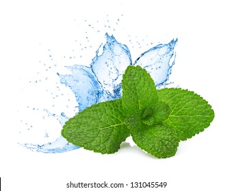 Mint Leafs Water Splash