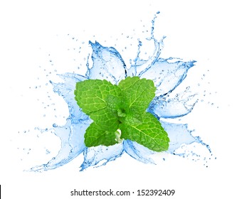 Mint Leafs Water Splash