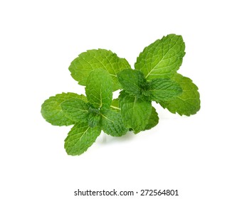 Mint Leave On White Background