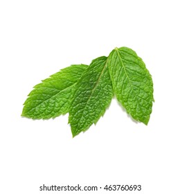 Mint Leaves From Above Isolated On White Background