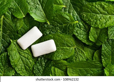 The Mint Leaves And The Chewing Gum