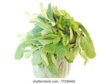 mint leaves close up