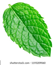 mint leaves isolated on white Clipping Path - Shutterstock ID 1193209060
