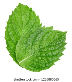 Mint leaves isolated on white. Mint Clipping Path