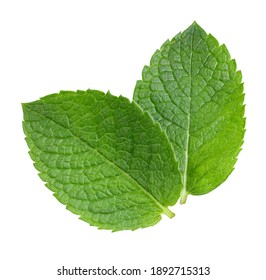 Mint leaves isolated on white background. Mint clipping path. Food photography - Shutterstock ID 1892715313