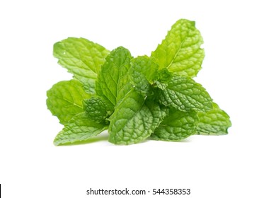 mint leaves isolated on white background.