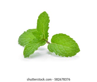 Mint leaves isolated on white background. - Shutterstock ID 582678376