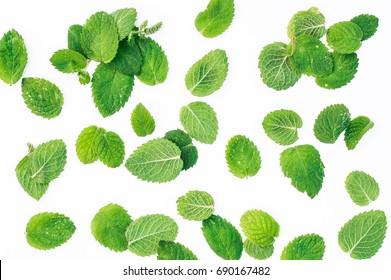 Mint Leaves On A White Background 