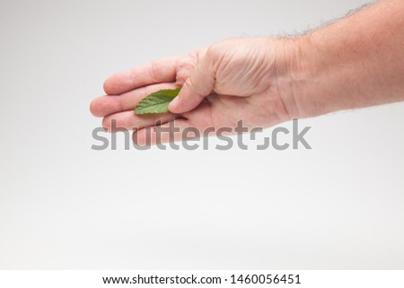 Similar – Image, Stock Photo A finger ring, spontaneously woven from blades of grass on a walk.