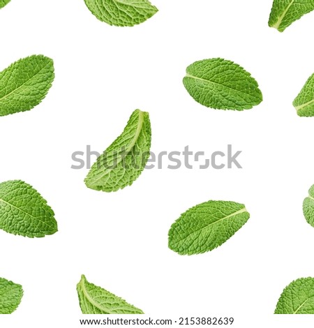 Mint leaves, spearmint isolated on white background, SEAMLESS, PATTERN