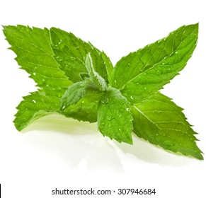 mint leaves with water drops isolated on white background - Powered by Shutterstock