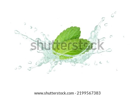 Mint oil splash with fresh spearmint leaf isolated on white background.