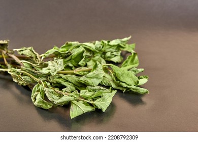 Mint sprigs are dried on paper until completely dry. Drying and storage of plants. - Shutterstock ID 2208792309